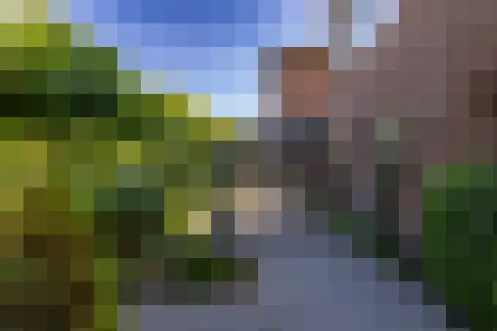 Eldersveld 34 Roden thumbnail 18