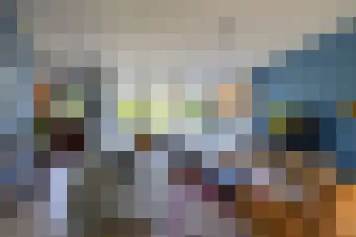 Eldersveld 34 Roden thumbnail 29