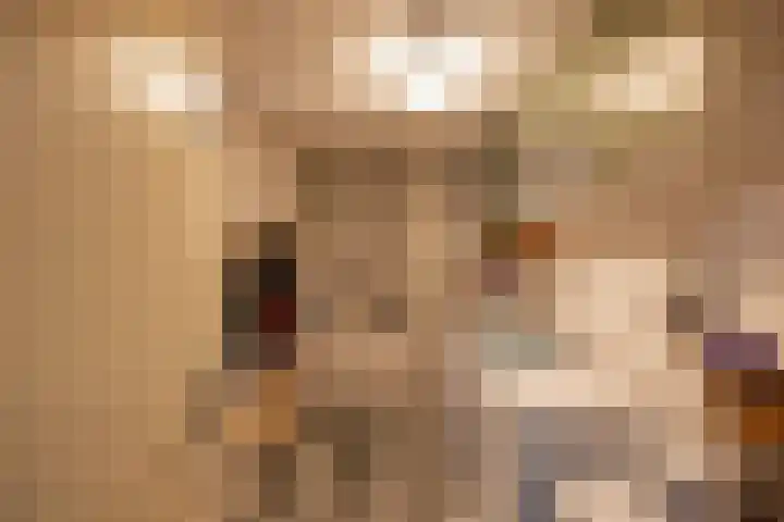 Eldersveld 34 Roden thumbnail 39
