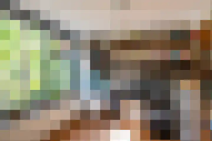 Eldersveld 34 Roden thumbnail 41