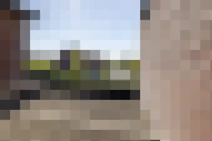 Eldersveld 34 Roden thumbnail 52