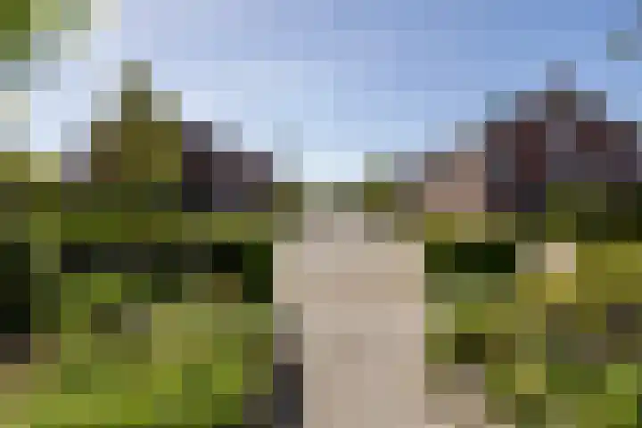 Eldersveld 34 Roden thumbnail 60