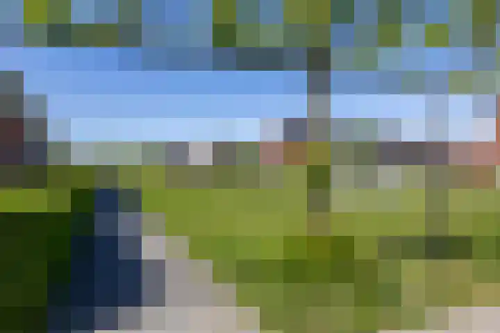 Eldersveld 34 Roden thumbnail 61