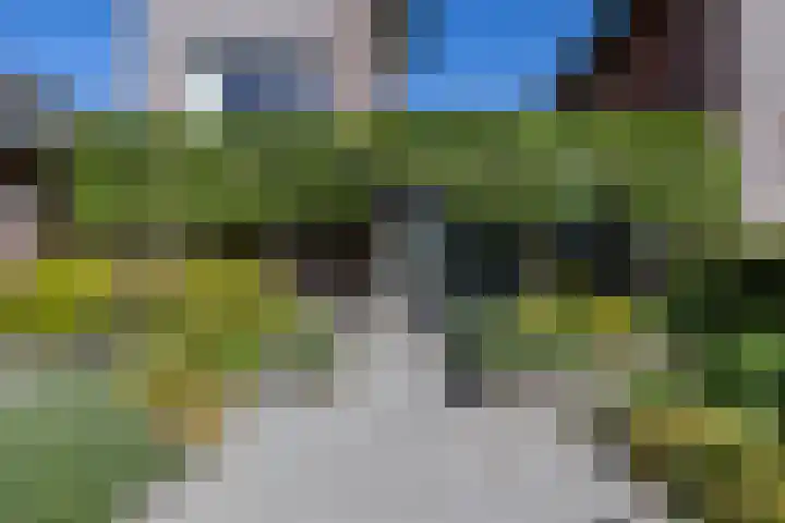 Eldersveld 34 Roden thumbnail 8