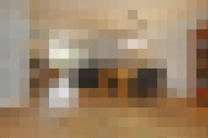 Electrablauw 48 Zoetermeer thumbnail 11