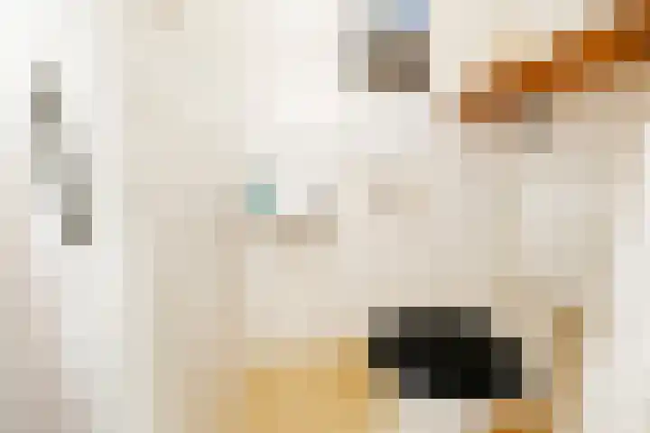 Electrablauw 48 Zoetermeer thumbnail 16