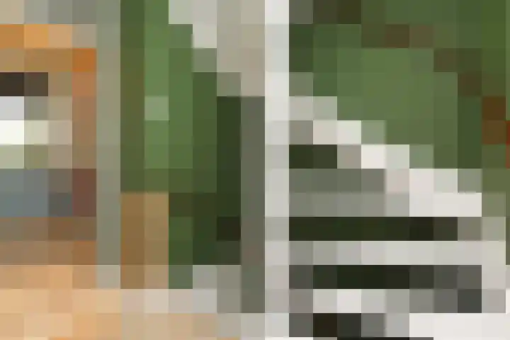 Electrablauw 48 Zoetermeer thumbnail 19
