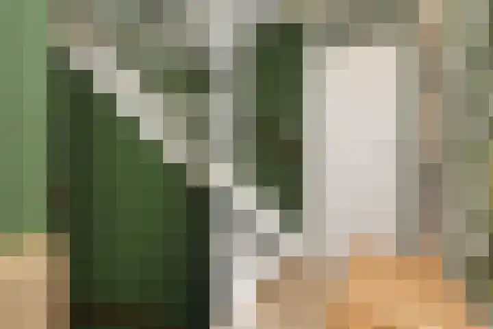 Electrablauw 48 Zoetermeer thumbnail 27