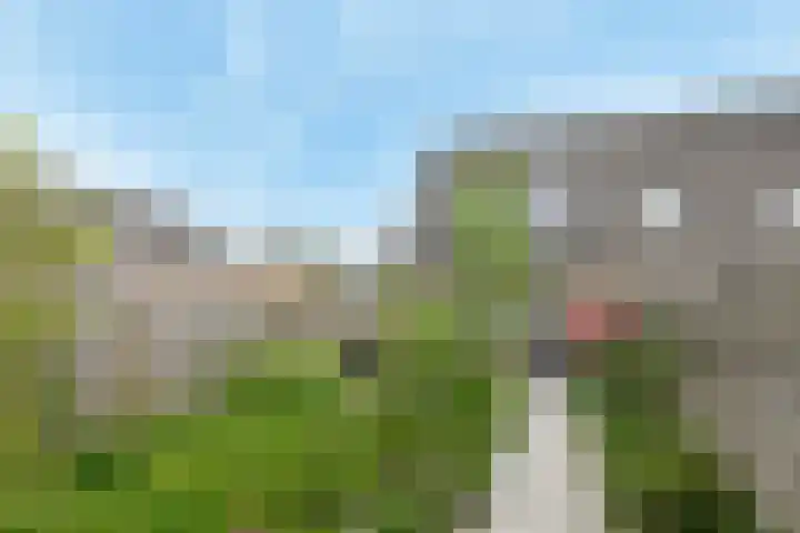 Electrablauw 48 Zoetermeer thumbnail 4