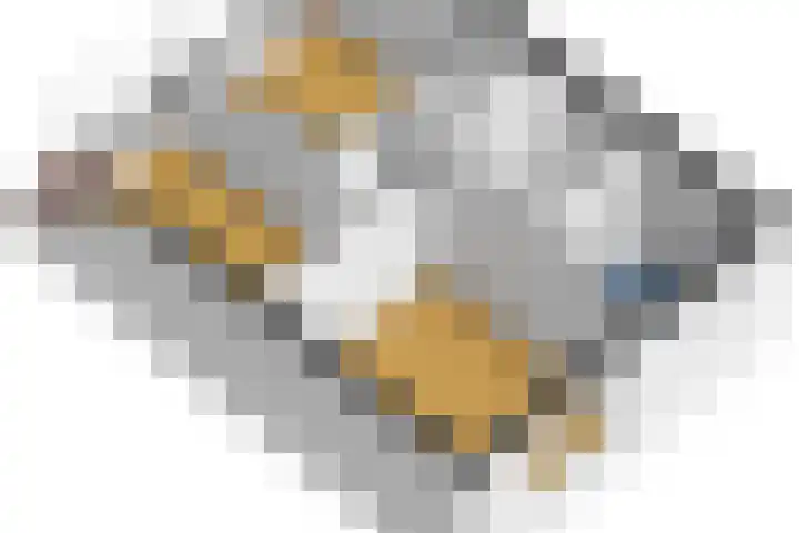 Electrablauw 48 Zoetermeer thumbnail 40