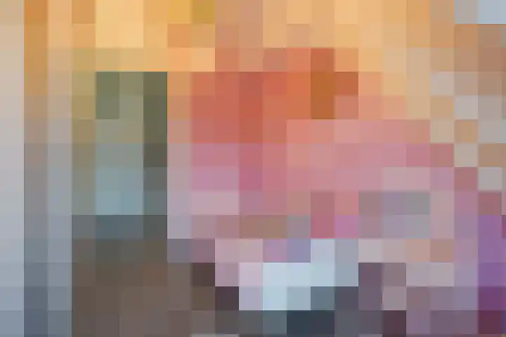 Electrablauw 6 Zoetermeer thumbnail 33