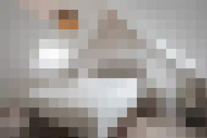 Electrablauw 6 Zoetermeer thumbnail 41