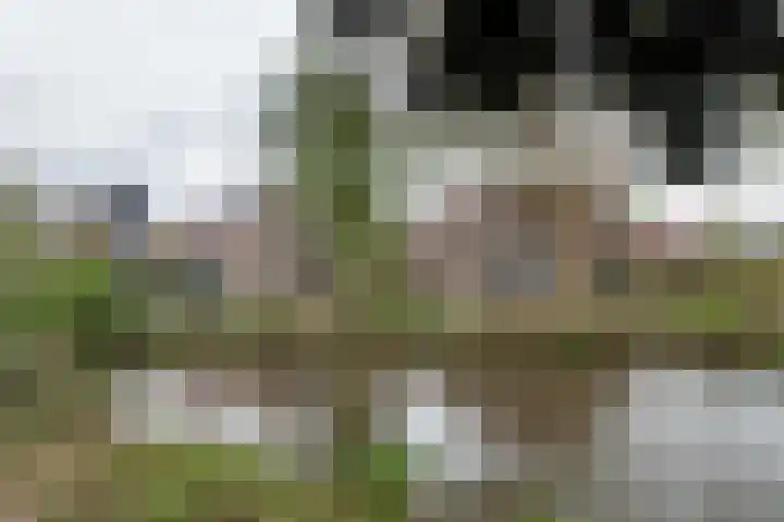 Electropark 13 Ridderkerk