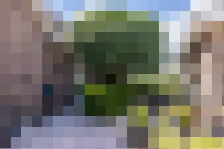Elegaststraat 12 Geleen thumbnail 30