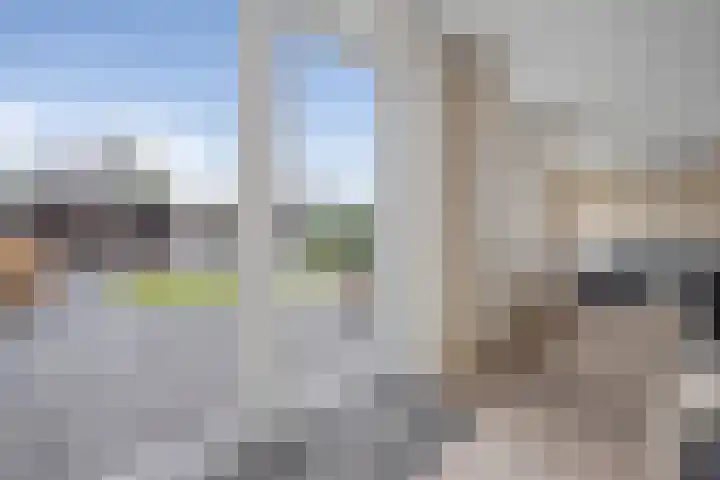 Elementen 38 Zeewolde thumbnail 12