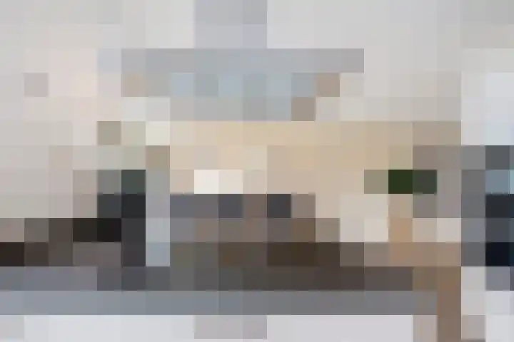 Elementen 38 Zeewolde thumbnail 25