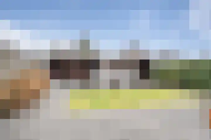Elementen 38 Zeewolde thumbnail 29