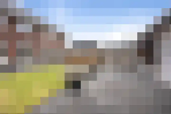 Elementen 38 Zeewolde thumbnail 32