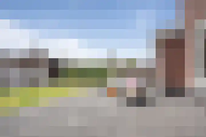 Elementen 38 Zeewolde thumbnail 33