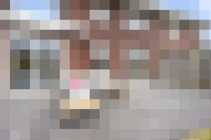 Elementen 38 Zeewolde thumbnail 34