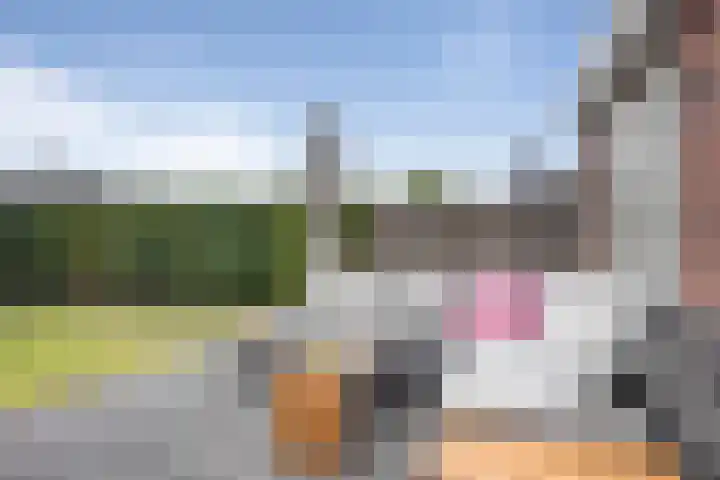 Elementen 38 Zeewolde thumbnail 35