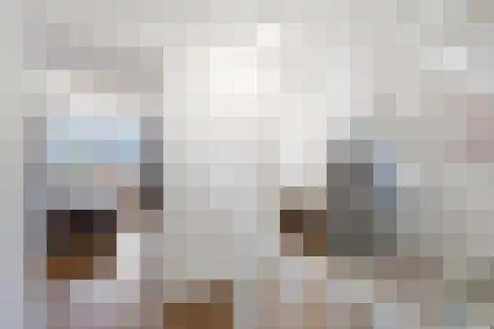 Elementen 38 Zeewolde thumbnail 38