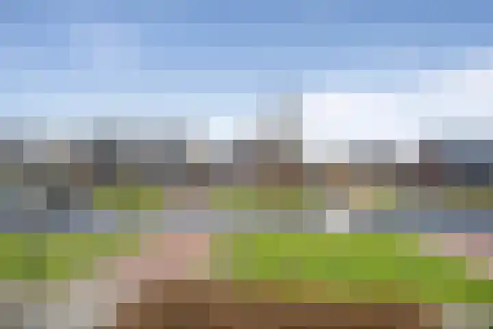 Elementen 38 Zeewolde thumbnail 47