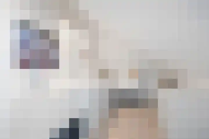 Elementen 38 Zeewolde thumbnail 59