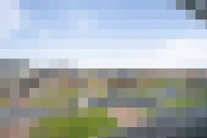 Elementen 38 Zeewolde thumbnail 60