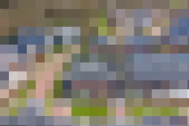 Elementen 38 Zeewolde thumbnail 64