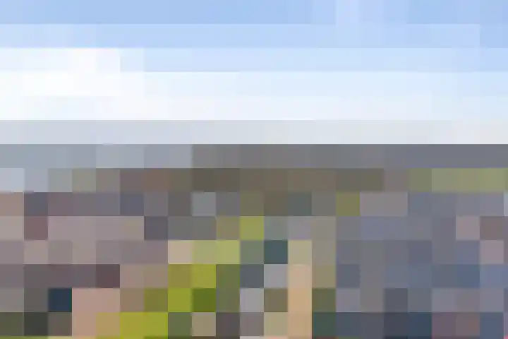 Elementen 38 Zeewolde thumbnail 65
