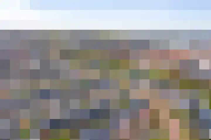 Elementen 38 Zeewolde thumbnail 67
