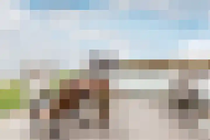 Elementen 84 Zeewolde thumbnail 22