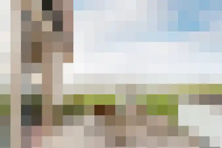 Elementen 84 Zeewolde thumbnail 23