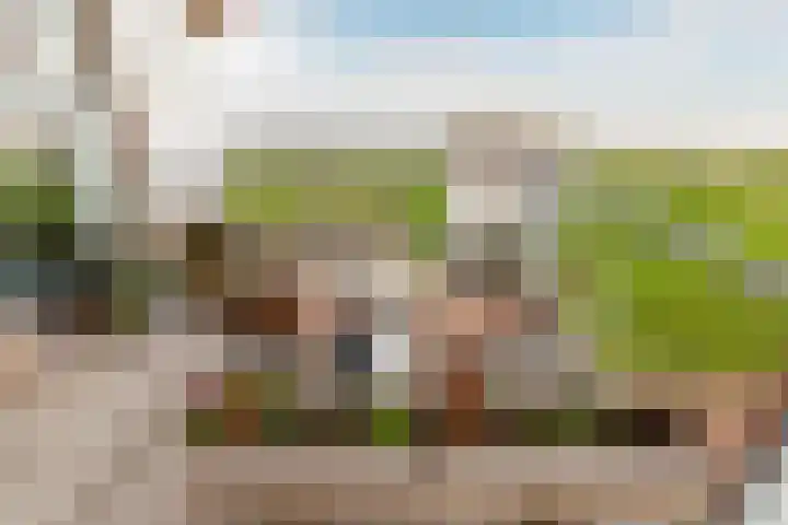 Elementen 84 Zeewolde thumbnail 24