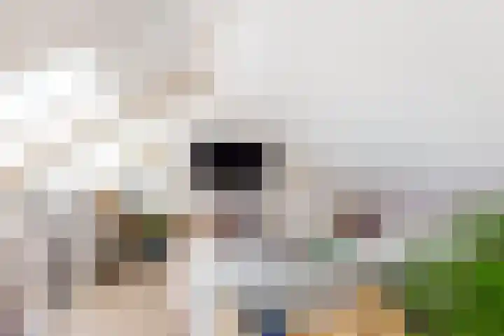 Elementen 84 Zeewolde thumbnail 37