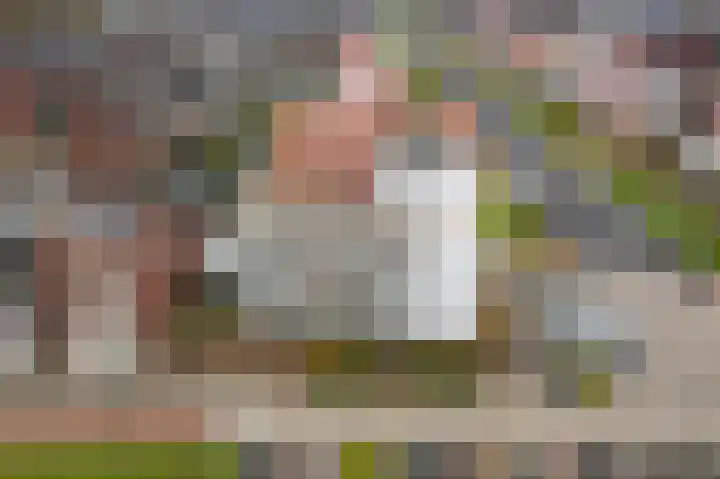 Elementen 84 Zeewolde thumbnail 4