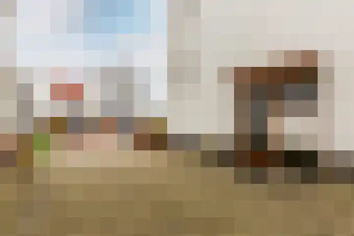 Elementen 84 Zeewolde thumbnail 43
