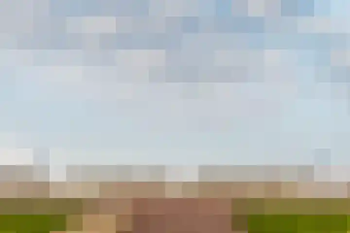 Elementen 84 Zeewolde thumbnail 48