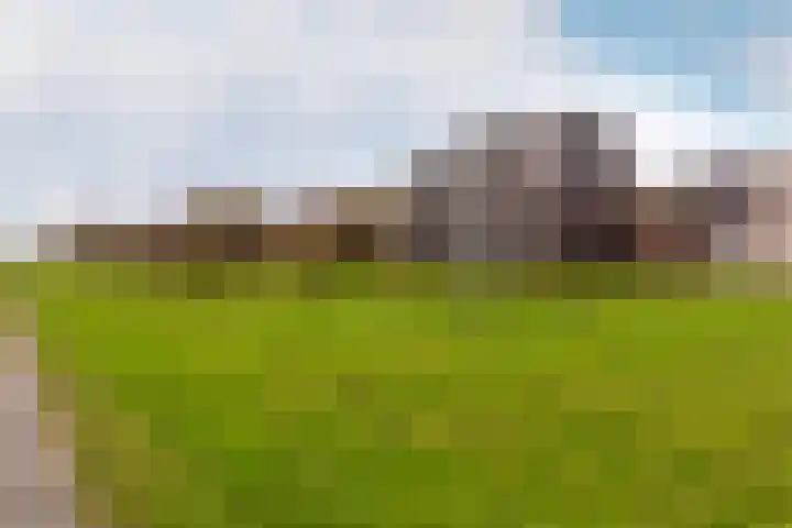 Elementen 84 Zeewolde thumbnail 49