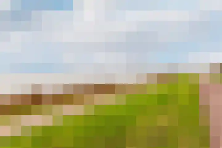 Elementen 84 Zeewolde thumbnail 53