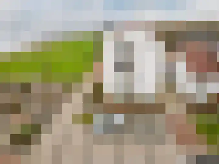 Elementen 84 Zeewolde thumbnail 57