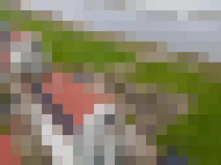 Elementen 84 Zeewolde thumbnail 58