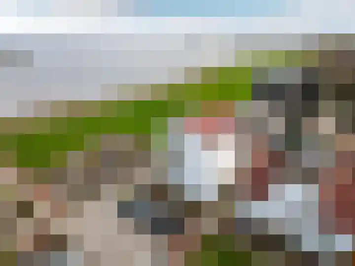Elementen 84 Zeewolde thumbnail 63