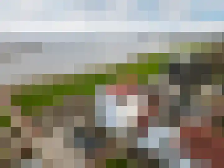 Elementen 84 Zeewolde thumbnail 71