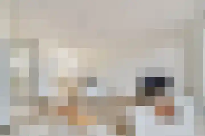 Elementenweg 66 Spijkenisse thumbnail 17