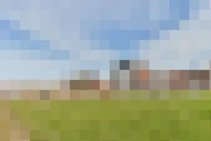 Elementenweg 66 Spijkenisse thumbnail 45