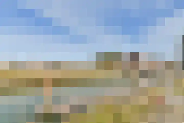 Elementenweg 66 Spijkenisse thumbnail 46