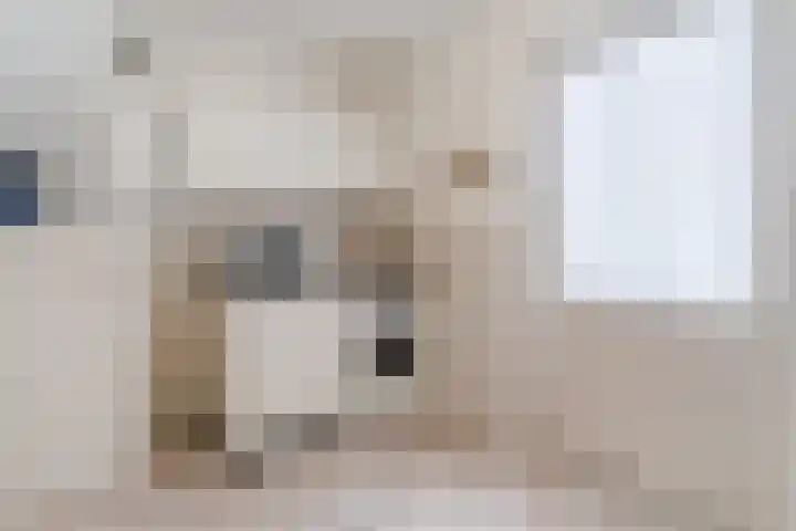 Elendil 16 Geldrop thumbnail 13