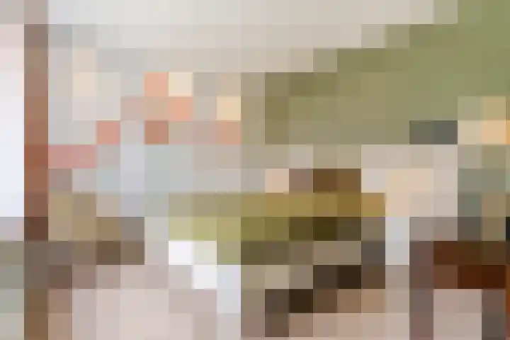 Elendil 16 Geldrop thumbnail 14